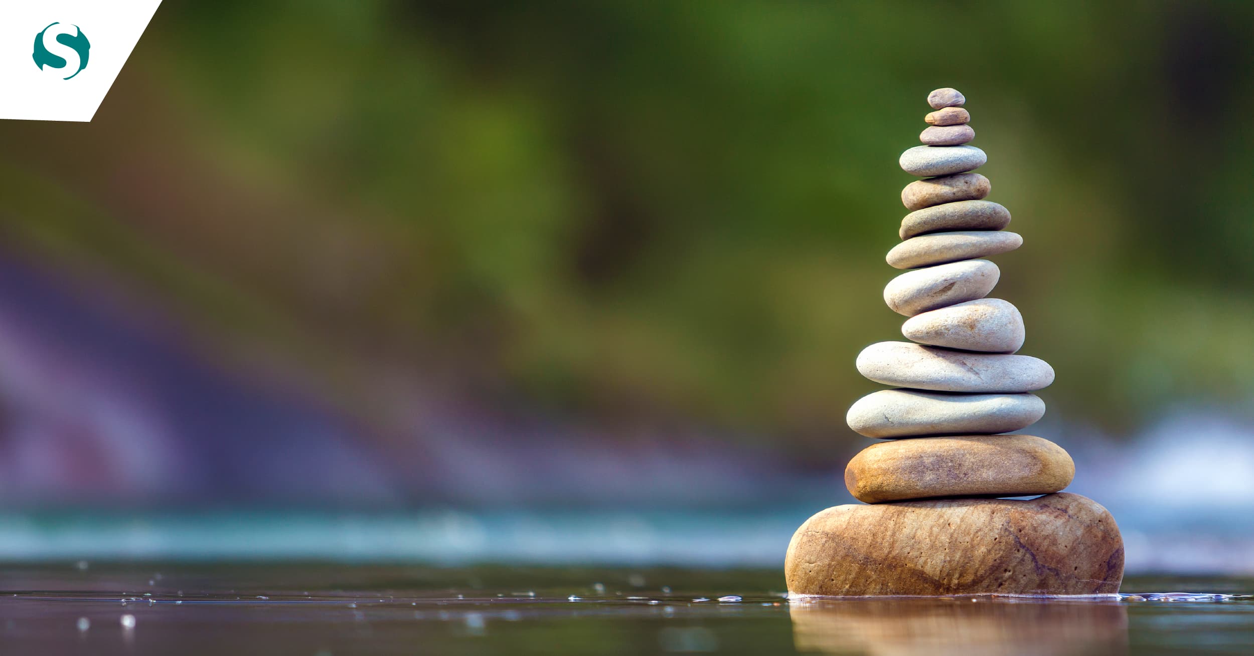 Comunicação assertiva: uma competência essencial para Product Owners
